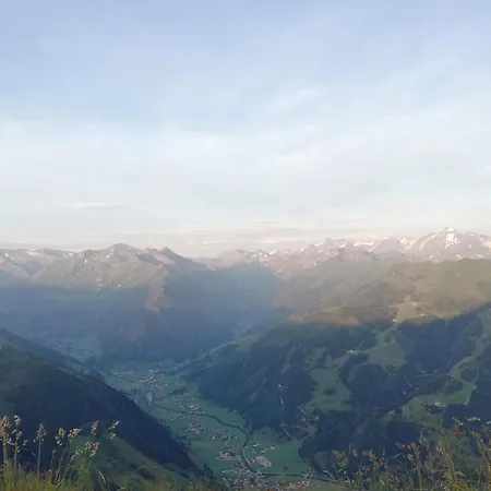 Eva 4 * ラウリス