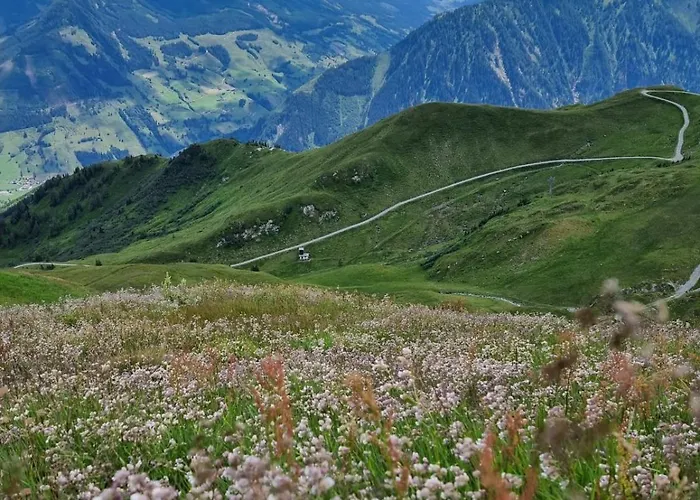 Eva 4 アパート *