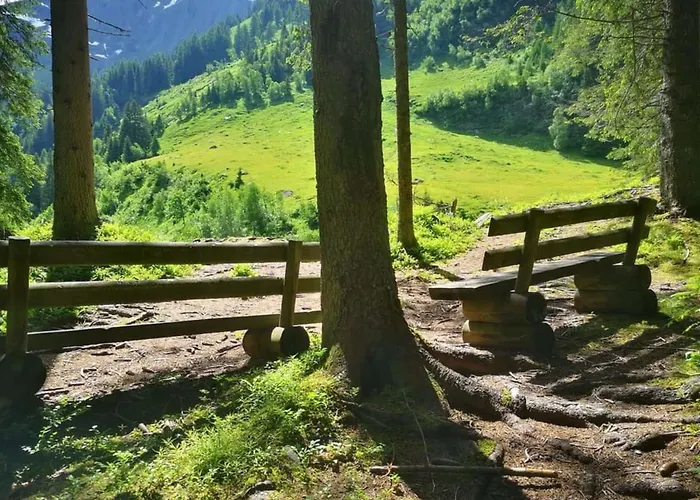 Eva 4 * ラウリス